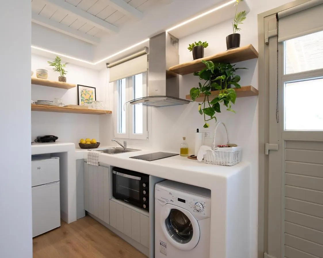 Levantes House Mykonos Ano Mera Tatil Evi
